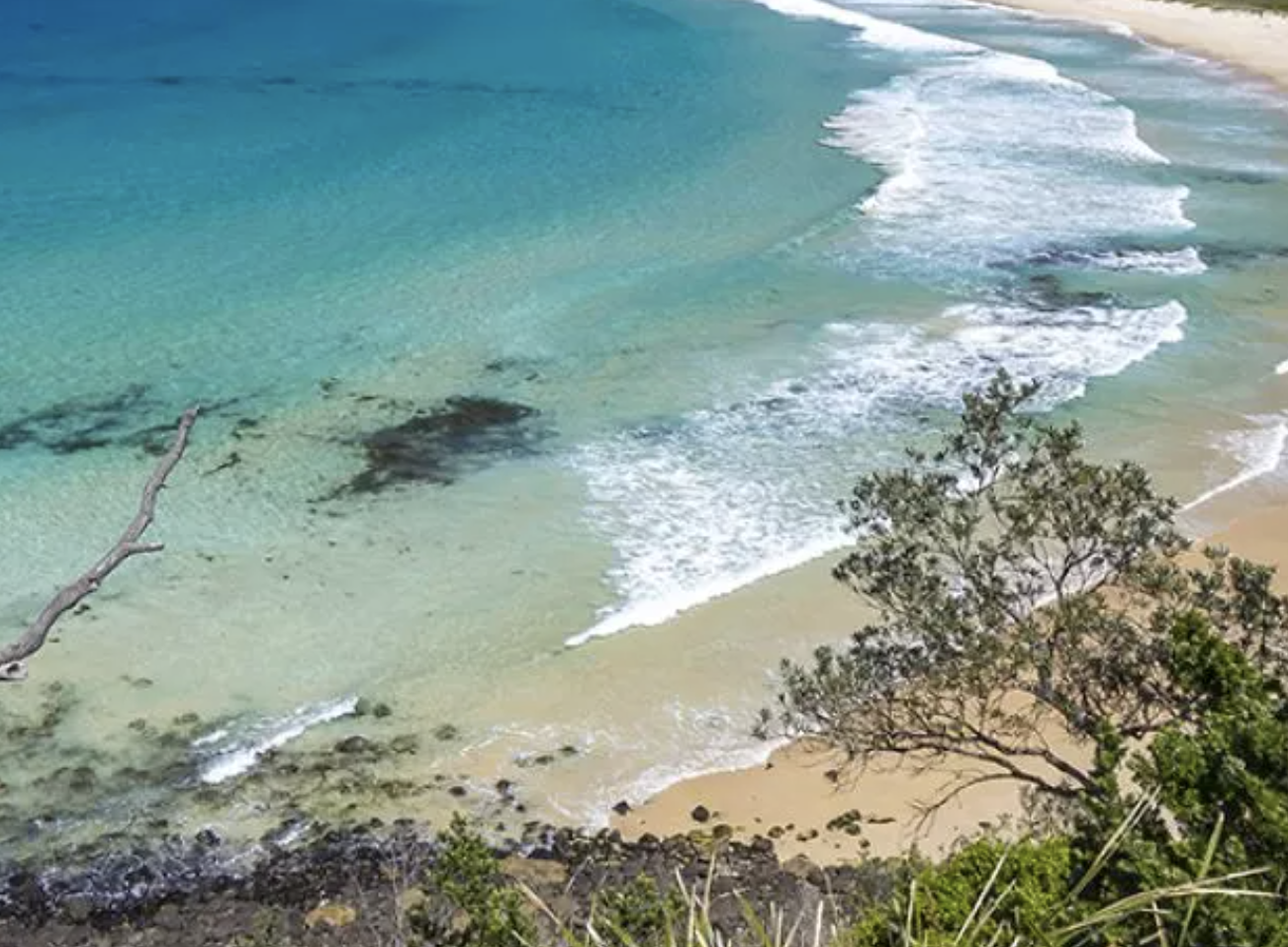 Mollymook - Diffuser