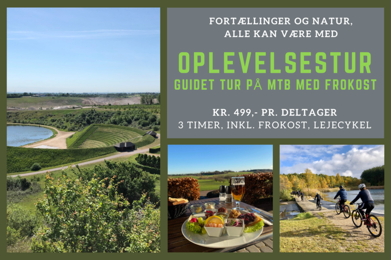 Gavekort guidet oplevelsestur med frokost​