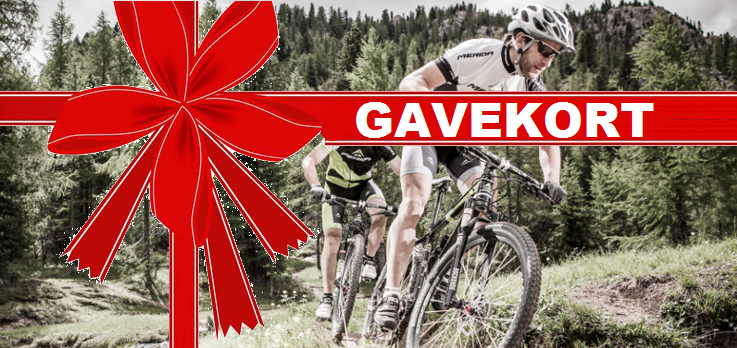 Gavekort 250 kr