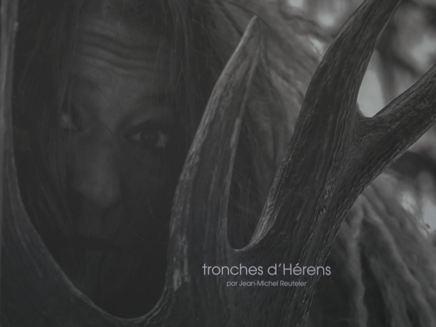 tronches d&#39;Hérens, par Jean-Michel Reuteler