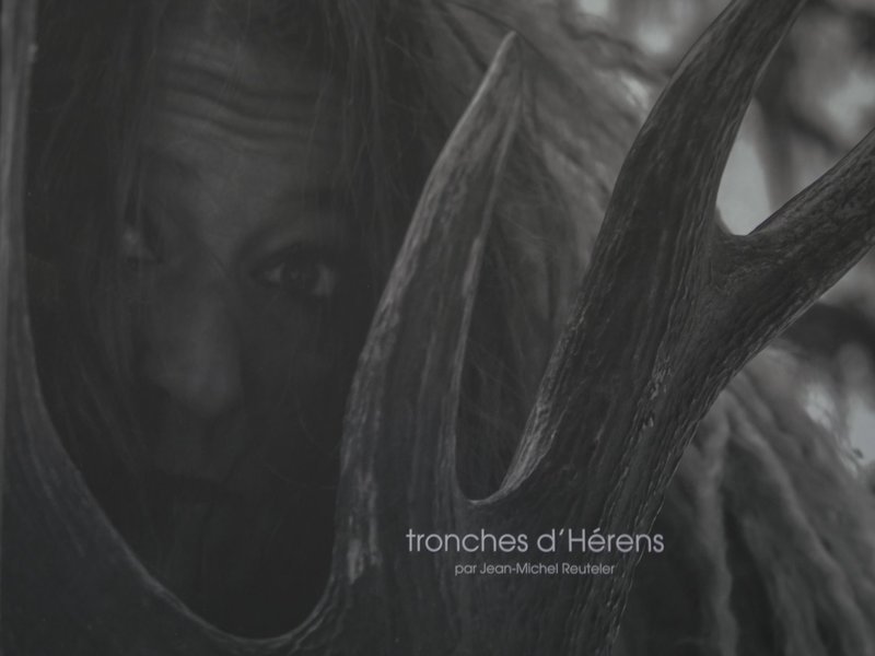 tronches d&#39;Hérens, par Jean-Michel Reuteler