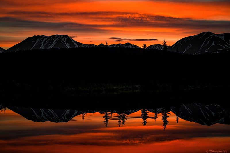 HD Metal Print