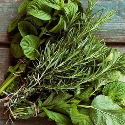 Herbes