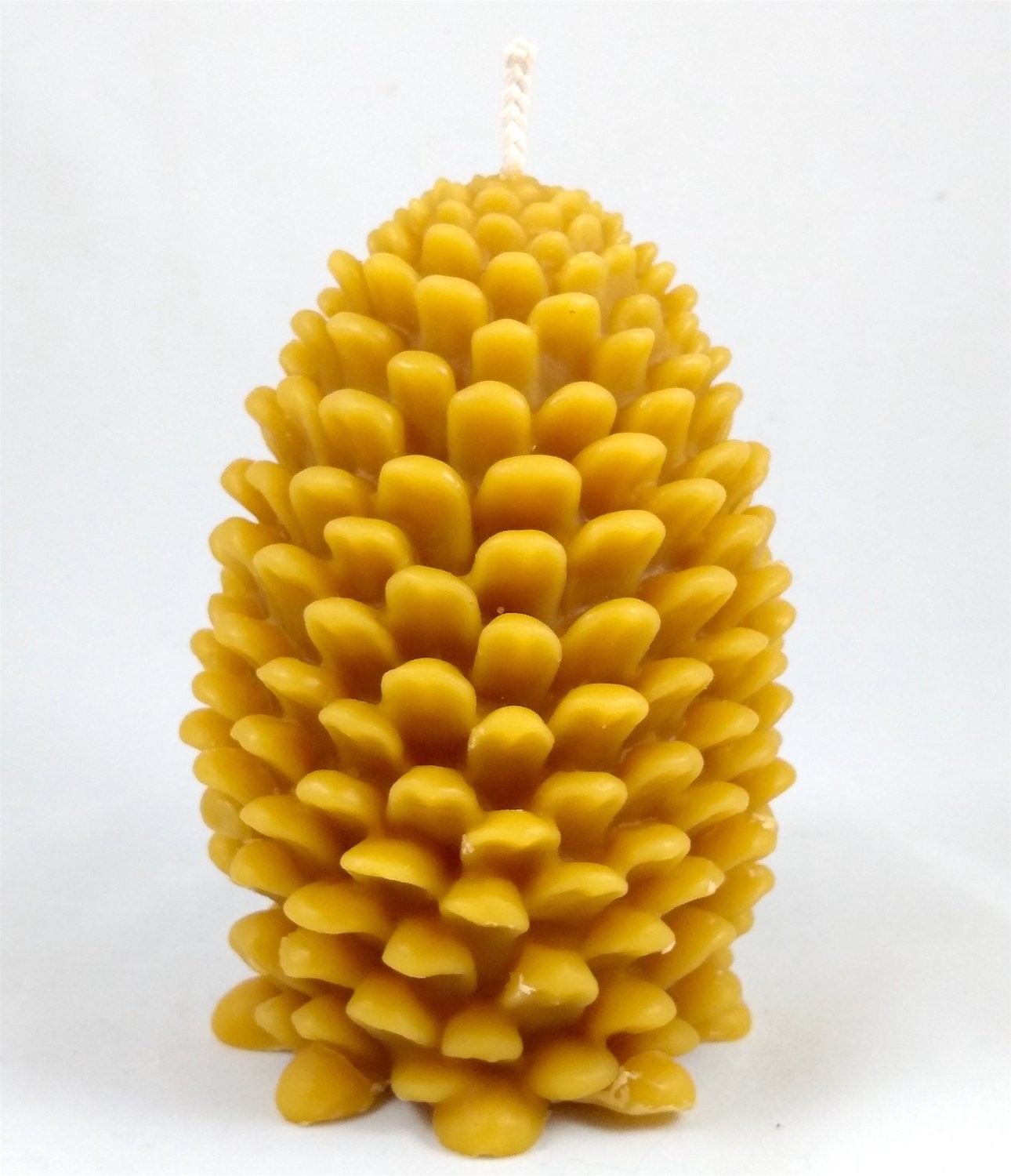 Pine Cone Beeswax Candle