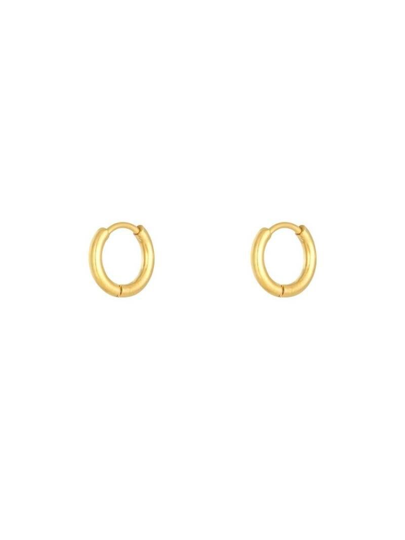 Oorbellen Little Hoops 1,2cm - Stainless Steel.