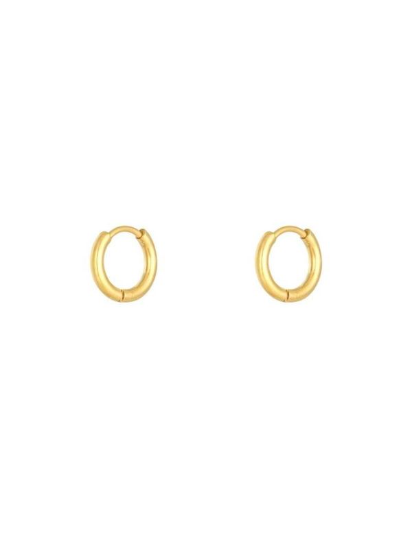 Oorbellen Little Hoops 1,2cm - Stainless Steel.