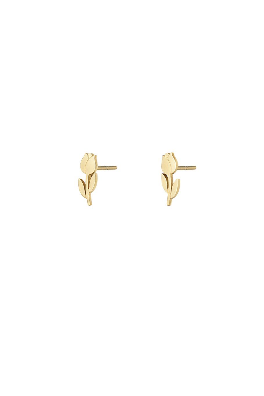 Tulpen oorstuds.