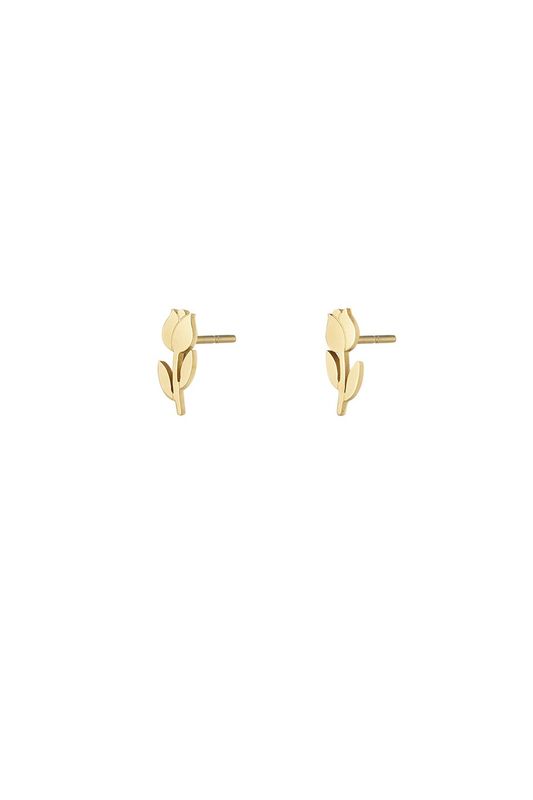 Tulpen oorstuds.