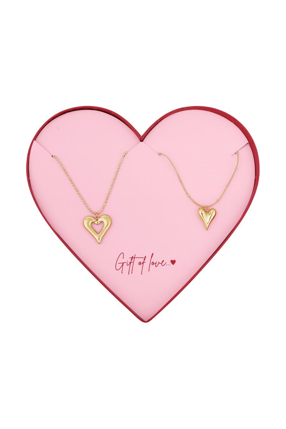 Gift of love stainless steel dubbele hartjes kettingen.