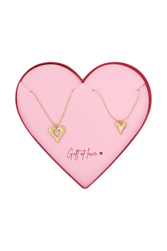 Gift of love stainless steel dubbele hartjes kettingen.