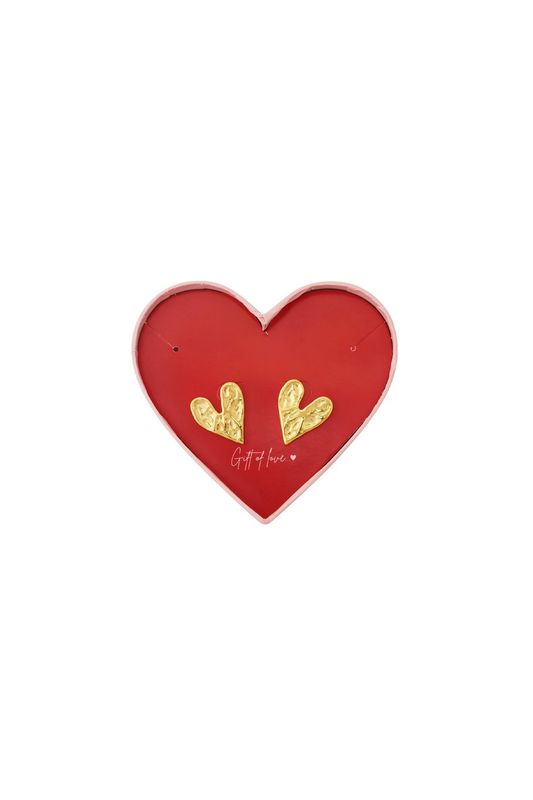 Gift of love stainless steel hartjes oorbellen.