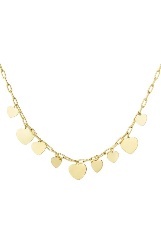 Chuncky hartjes party ketting.