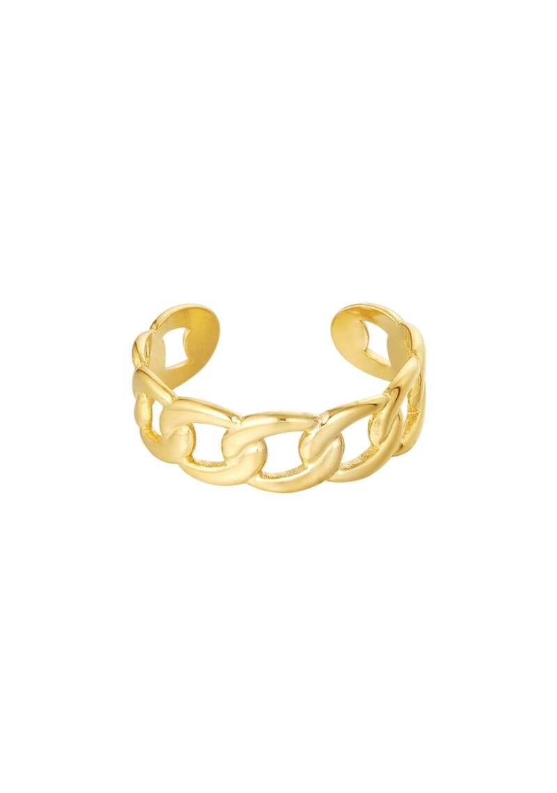 Ring dikke schakel.