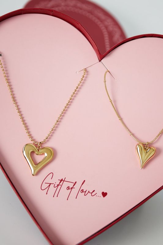 Gift of love stainless steel dubbele hartjes kettingen.