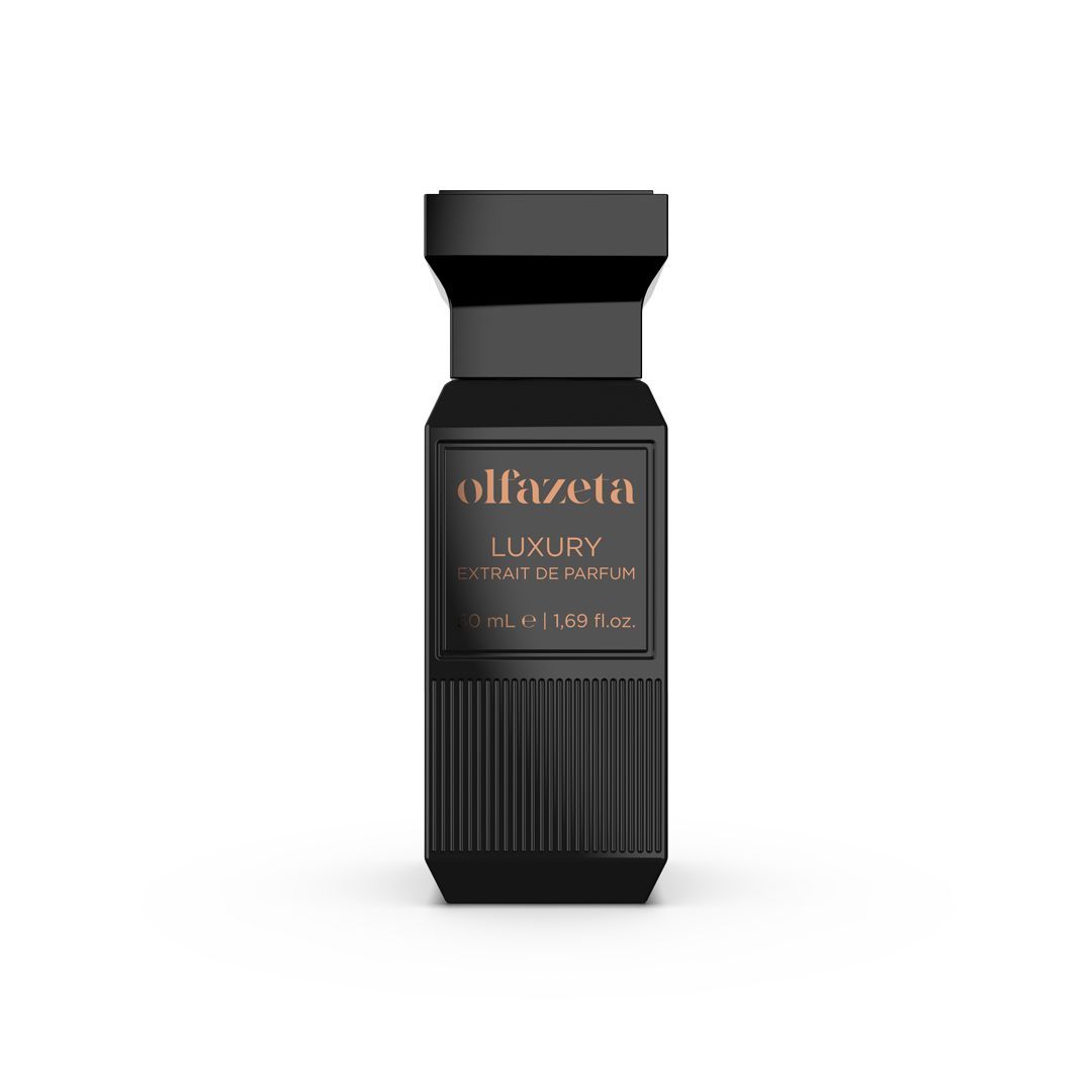 Nr. 074 Luxuryparfüm 30% Essenz 50 ml inspiriert von Black Afango