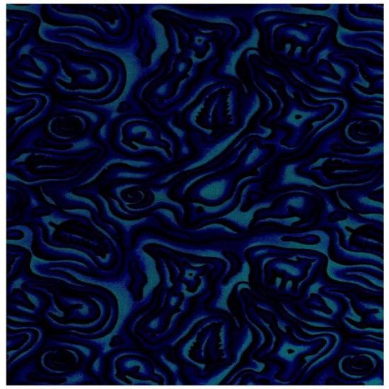 Kiwiana - Paua Pictures