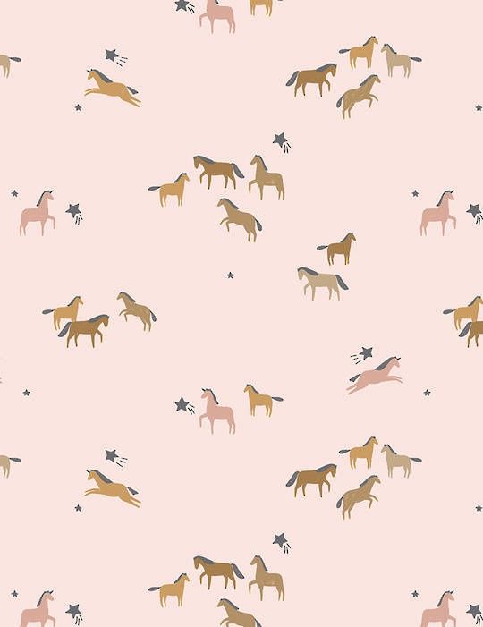 Dear Stella - Untamed - Creampuff horses