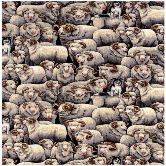 Kiwiana - Merinos Grey