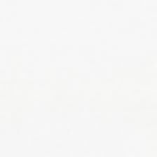 Quilters Muslin White