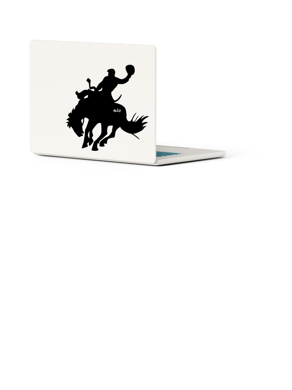 Bronco Sticker - Large