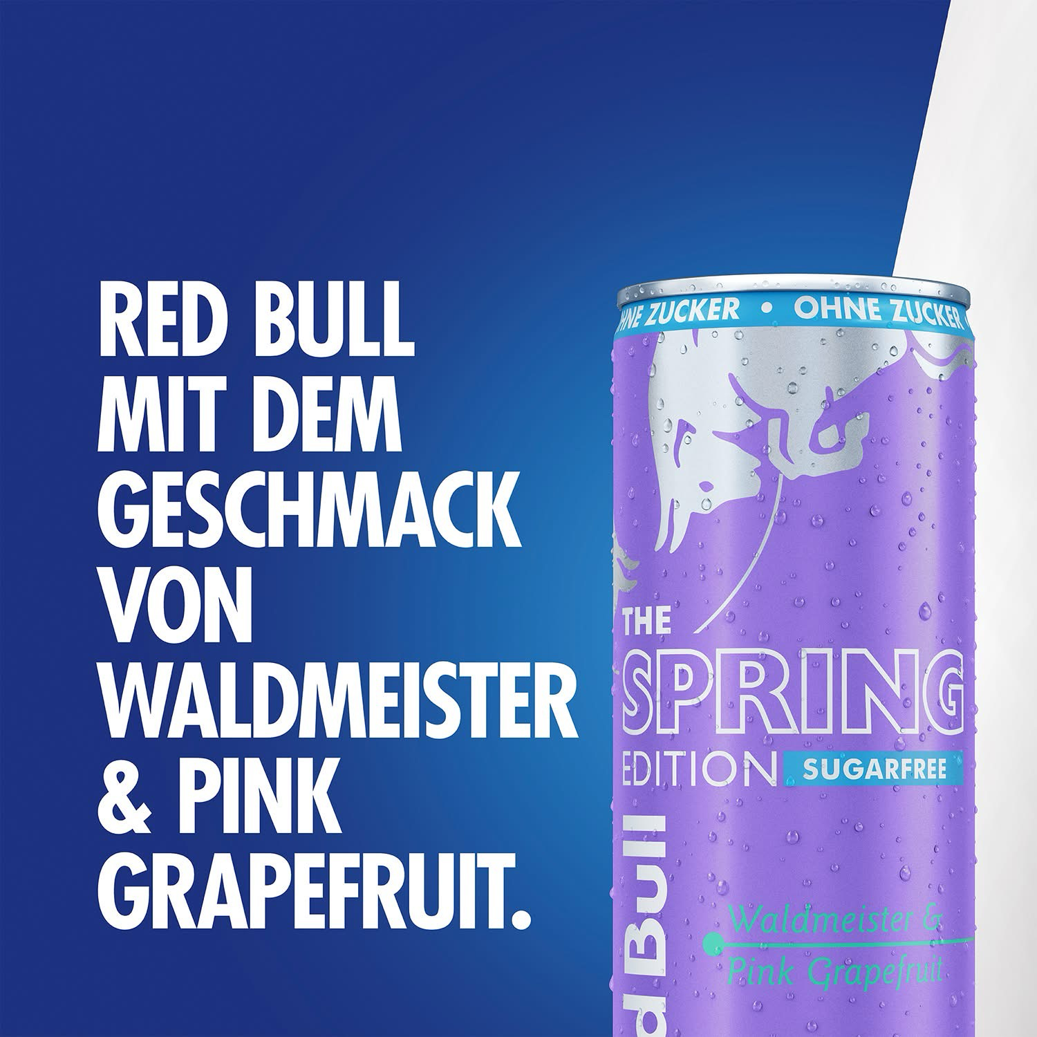 Red Bull Energy Drink Spring Edition Waldmeister & Pink Grapefruit