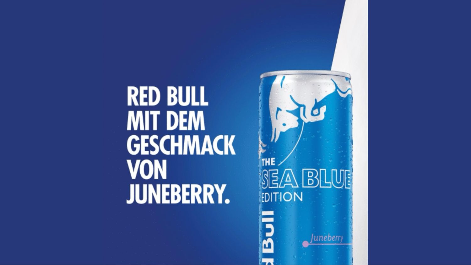 Red Bull Energy Drink Sea Blue Edition Juneberry