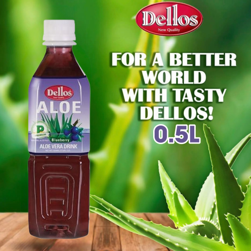 Aloe Vera Blueberry 0.5l