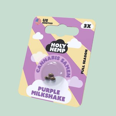 Holy Hemp Cannabis Samen Purple Milkshake 3x