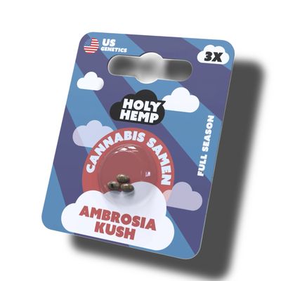 Holy Hemp Cannabis Samen Ambrosia Kush 3x