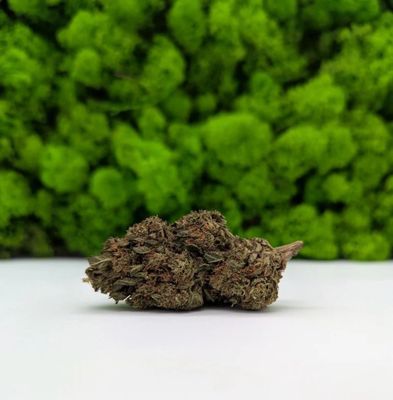 Strawberry Sherbert Superior 1g