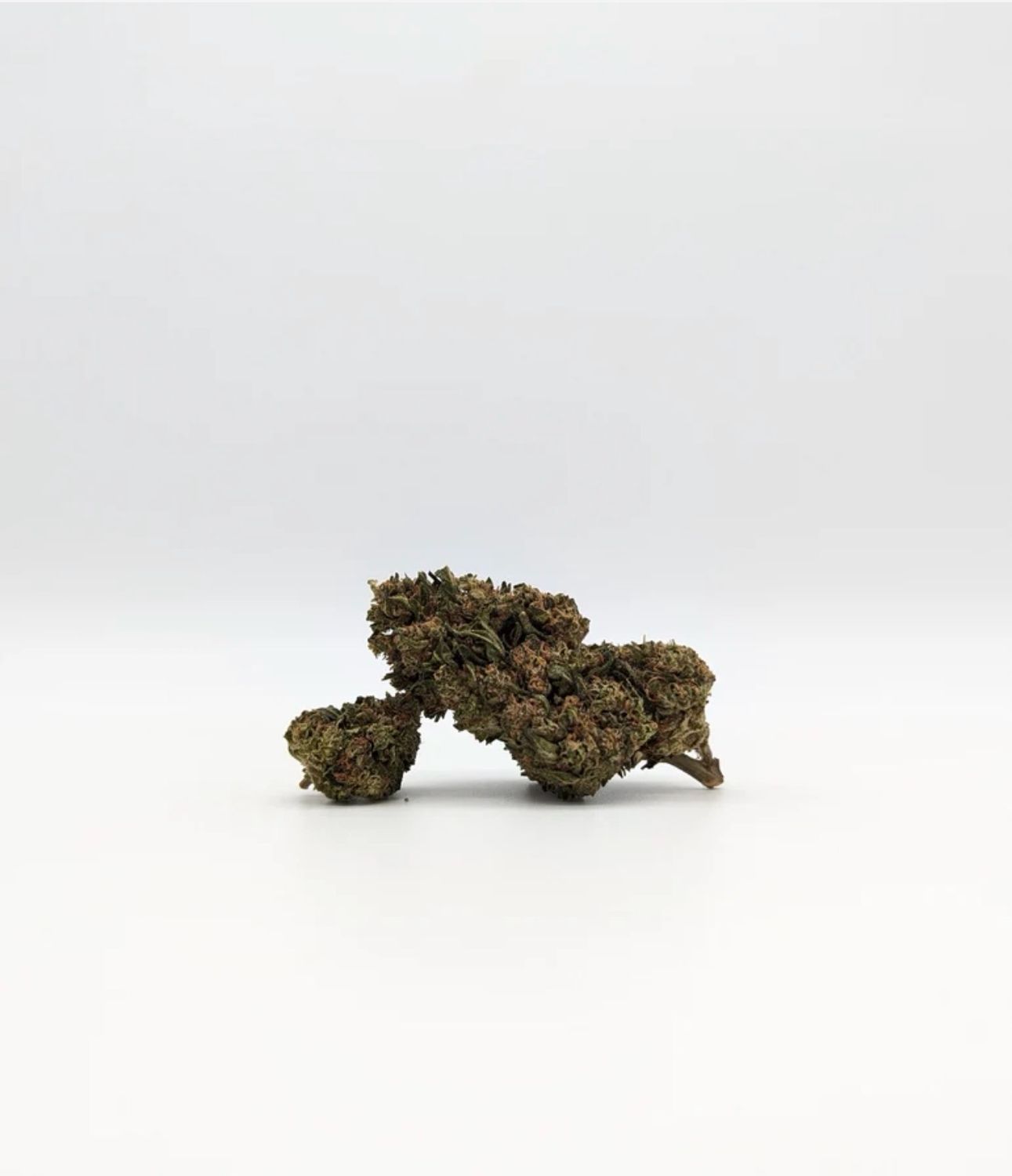 Strawberry Sherbert Superior 1g