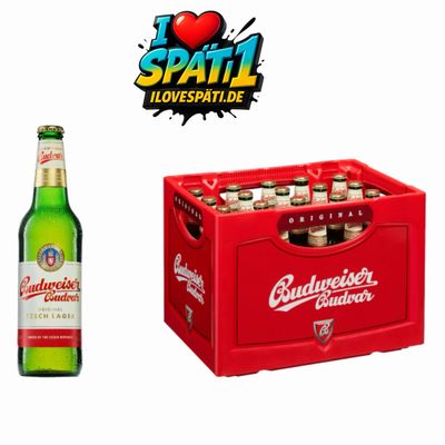 Budweiser 20 x 0,5L MW Alc. 5% Vol