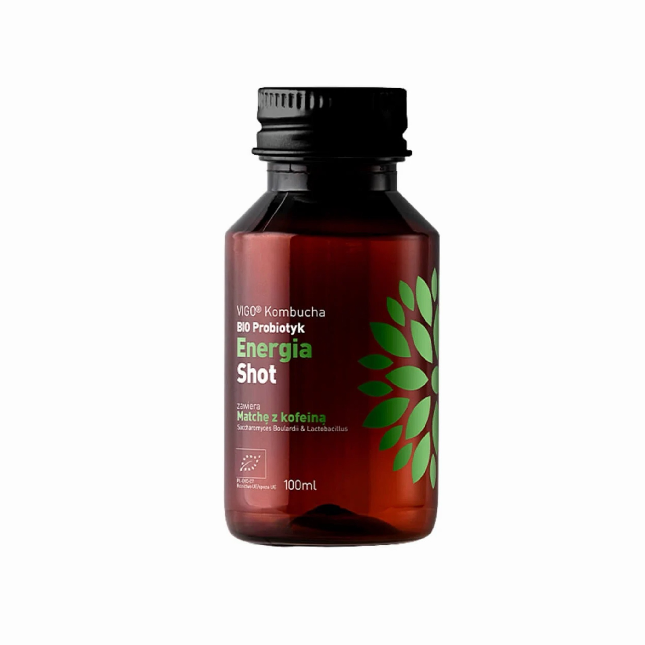 Kombucha BIO Probiotischer Energie-Shot 100ml VIGO
