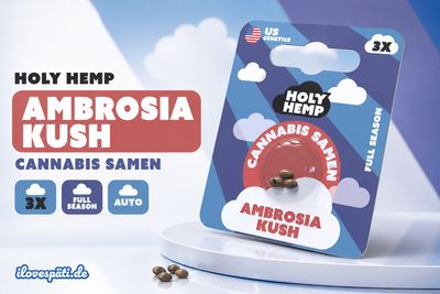 Holy Hemp Cannabis Samen Ambrosia Kush 3x