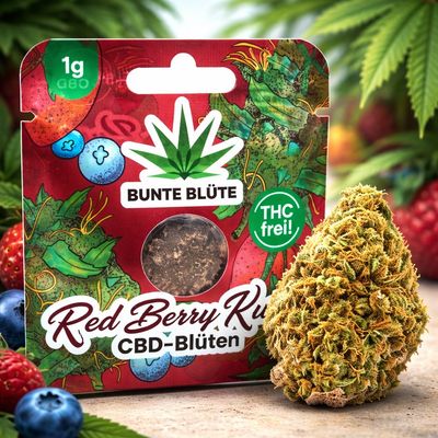 Bunte Blüte CBD-Blüte - Red Berry Kush 1g