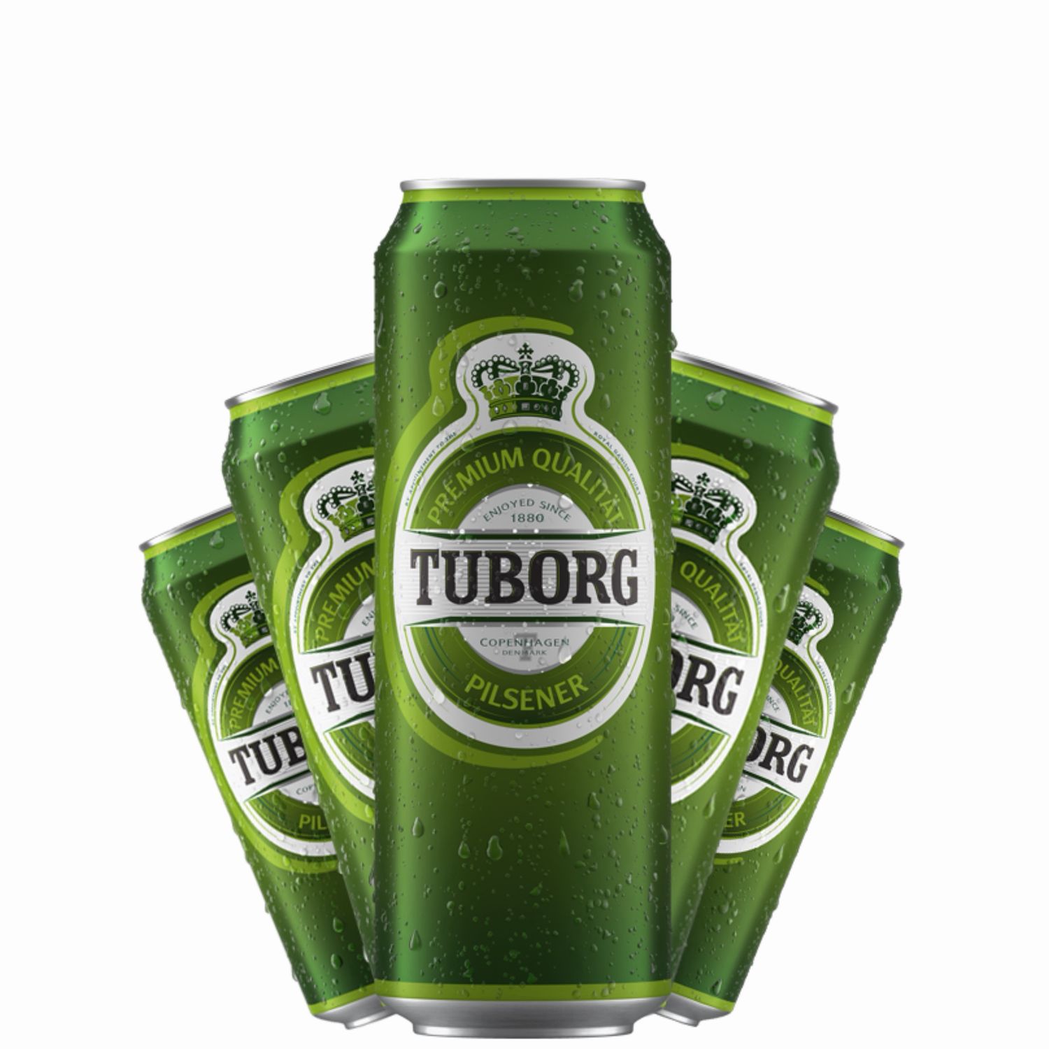 TUBORG 0.5l Dose