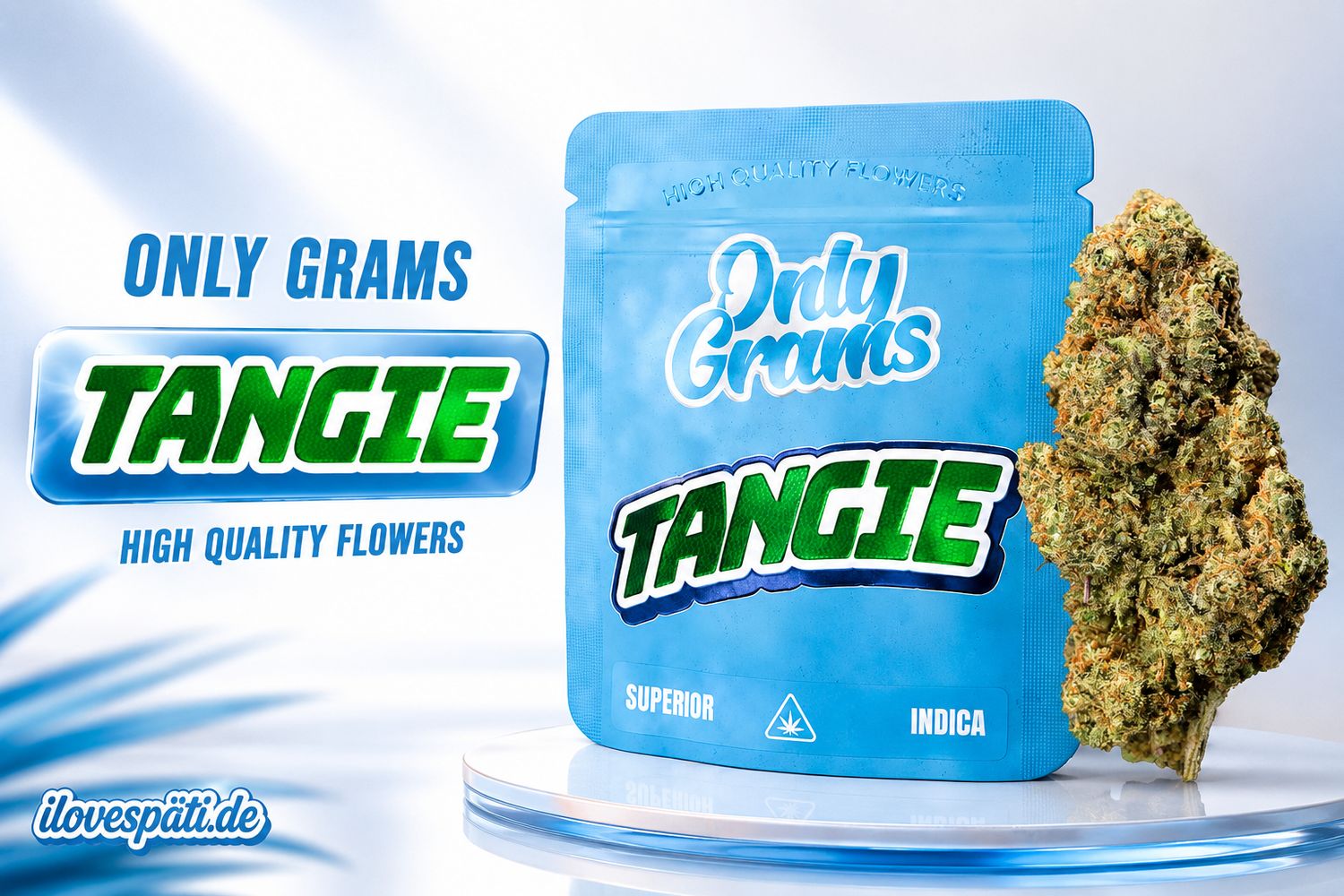 OnlyGrams Superior Blüte - Tangie 1g | 40% Blend