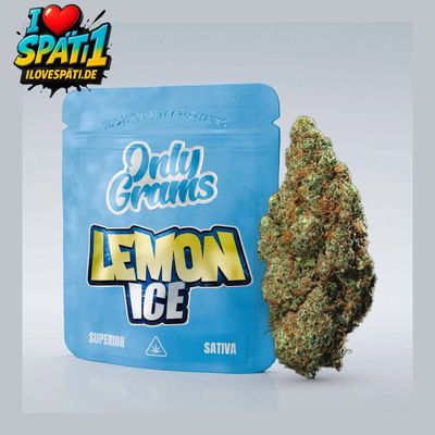 OnlyGrams Superior Blüte - Lemon Ice 1g | 40% Blend