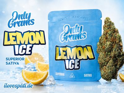 OnlyGrams Superior Blüte - Lemon Ice 1g | 40% Blend