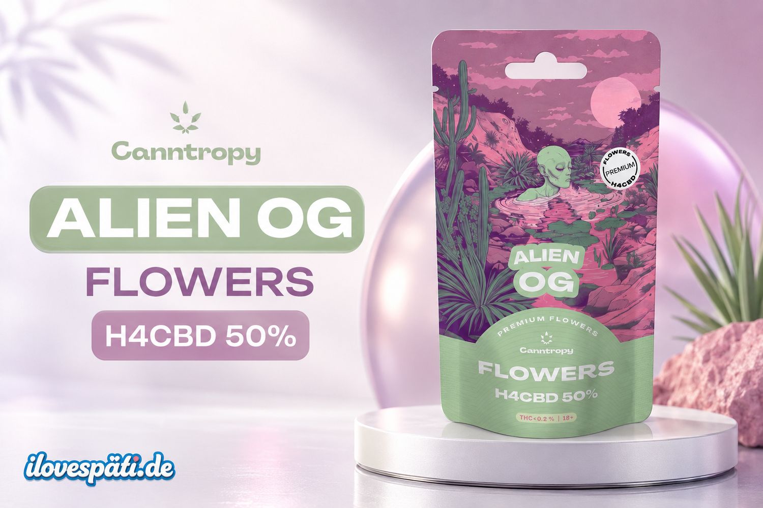H4CBD Blüte Alien OG 50% – 3g