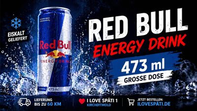 Red Bull Energy Drink 473ml Dose