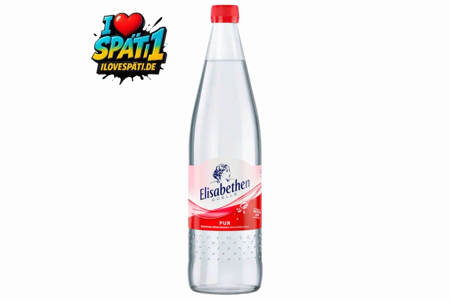 Elisabethen Quelle Pur Mineralwasser 1L