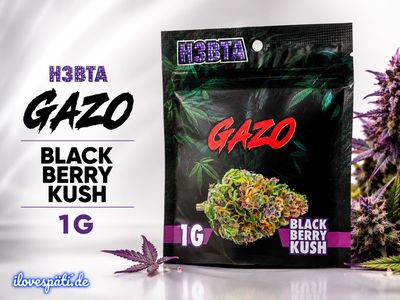 H3BTA × GAZO Black Berry Kush CBD 1g