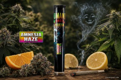 Jumanji by GAZO Amnesia Haze H3BTA 1g