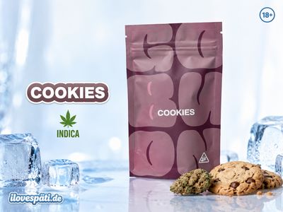 Weed for Friends Cookies PHC Blüte 1 g Hybrid 65% PHC