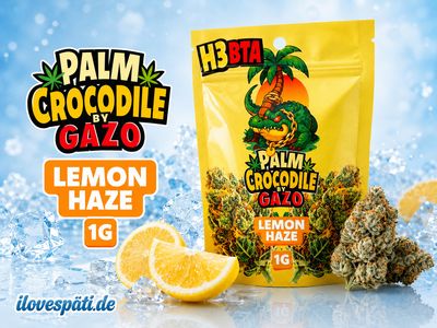 Palm Crocodile by GAZO H3BTA Buds Lemon Haze 1 g