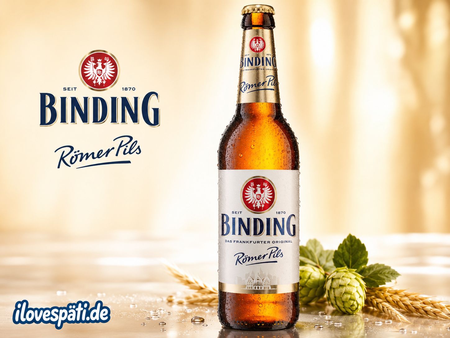 Binding Römer Pils Bier 0,5 l 4,9% vol