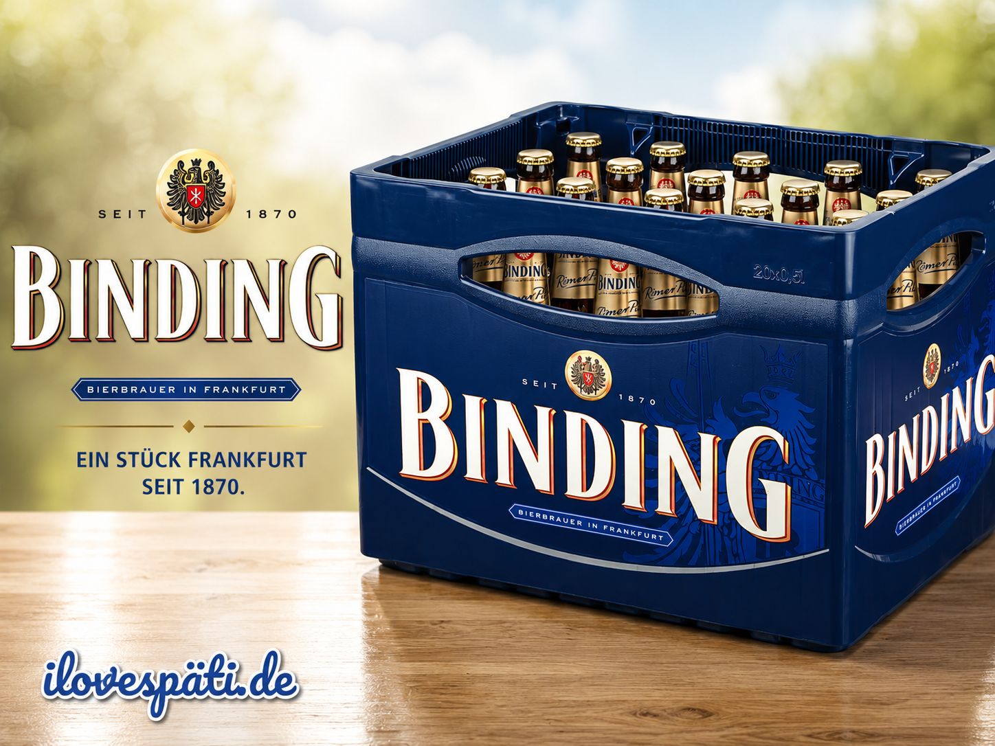 Binding Römer Pils Bierkasten 20 × 0,5 l 4,9 % vol
