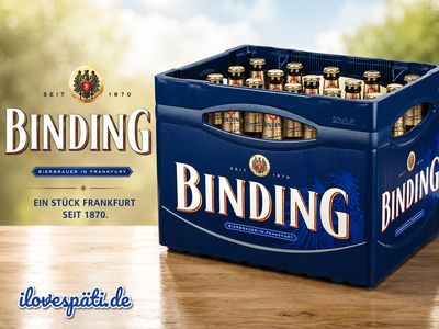 Binding Römer Pils Bierkasten 20 × 0,5 l 4,9 % vol