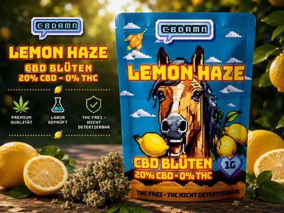 CBDamn Lemon Haze CBD-Aromablüten 1 g 20 % CBD – 0 % THC